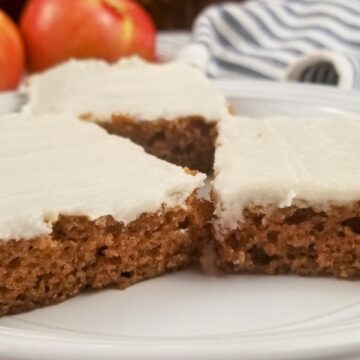 applesauce Bars on plate